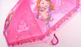 تصویر چتر (تنوع طرح و رنگ) 