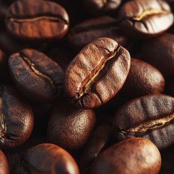 تصویر دانه قهوه کلمبیا سوپریمو عربیکا 