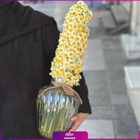 تصویر جار گل نرگس 100 شاخه ای 