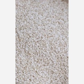 تصویر کنجد سفید اعلاء 1000 گرمی 