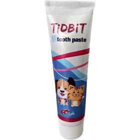 تصویر خمیر دندان سگ و گربه تیبدبیت طعم گوشت 110 گرم TIDBIT TOOTH PASTE DOG AND CAT