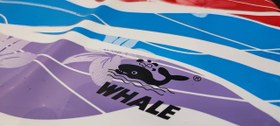 تصویر کلاه شنا سیلیکونی WHALE مدل 300 