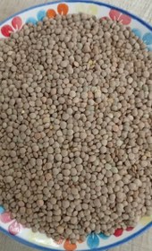 تصویر عدس ریز 