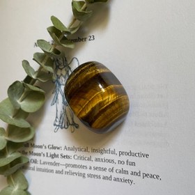 تصویر چشم ببر ۰۵ 