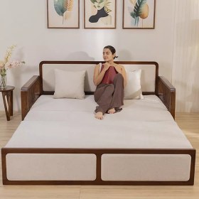 تصویر کاناپه تخت خواب شو مانی 