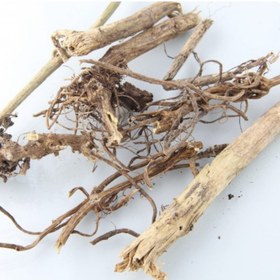 تصویر ریشه گزنه پاک کردن سینه