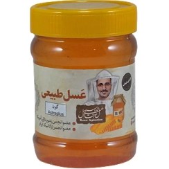 تصویر عسل ارگانیک ساوه – 470 گرمی 