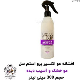 تصویر اسپری مو 10 کاره استم سل پرو مدل ARGAN ELIXIR مناسب موهای خشک و آسیب دیده ( 300 ML ) 