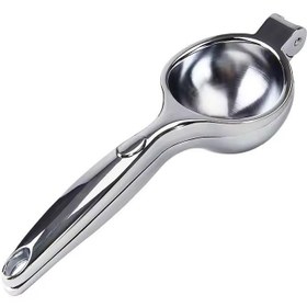 تصویر آبلیموگیر شنگیا 