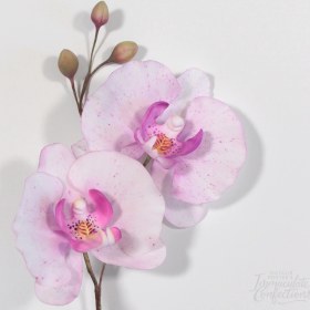 تصویر بودکور ست کاتر گلسازي 3 تايي ارکيده 230027 