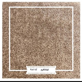 تصویر موکت تیانا ظریف مصور 