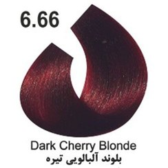 تصویر رنگ موی کاترومر KATROMER،شماره 6.66 بلوند آلبالوی تیره 