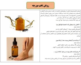 تصویر روغن تخم مورچه 