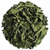 تصویر برگ گزنه 