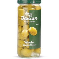تصویر زیتون سبز با هسته بانیان وزن 460 گرم 