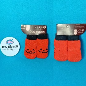 تصویر جوراب سگ و گربه 