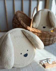 تصویر کوله خرگوش 