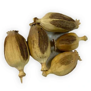 تصویر فروشگاه عطاری و گیاهان دارویی سومایا