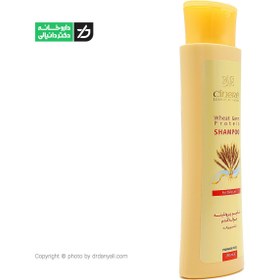 تصویر شامپو پروتئینه جوانه گندم سینره حجم ۲۵۰ میلی لیتر 