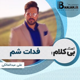 تصویر آهنگ بی کلام فدات شم از علی عبدالمالکی 