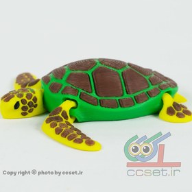 تصویر لاکپشت پیر 