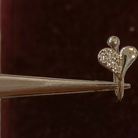 تصویر پیریسینگ بینی 