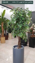 تصویر درختچه مصنوعی بنجامین 160سانت برگ سبز 