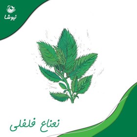 تصویر چای سبز و نعناع فلفلی نیوشا Peppermint + Green Tea