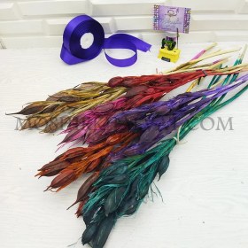 تصویر گل خشک مدل زنبق 