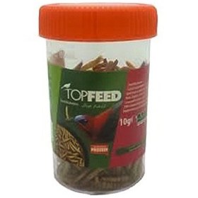 تصویر میل ورم 10 گرمی 