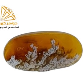 تصویر نگین شجر منظره (کد۷۳) 