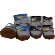 تصویر کفش سگ و گربه 