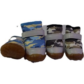 تصویر کفش سگ و گربه 