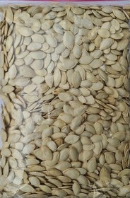 تصویر تخمه کدو خام ۵۰۰ گرم 