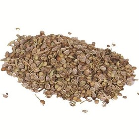 تصویر گشنیز لپه 