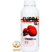 تصویر کود کلاته مس کوپرا گل Chelated Copper_CUPRA GL