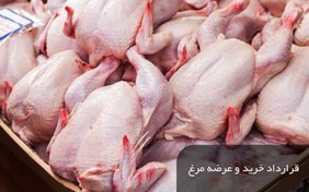 تصویر قرارداد خرید وعرضه مرغ 