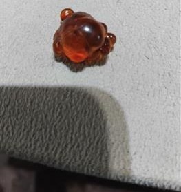 تصویر صمغ کهربا راف 