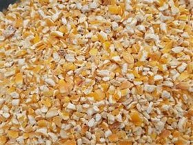تصویر ذرت شکسته درجه یک ۱ کیلوگرم 
