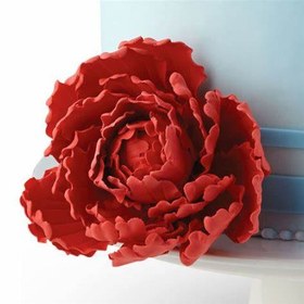 تصویر ست کاتر گلسازی 4 تایی پیونی بودکور کد 23003 