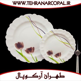 تصویر سرویس غذاخوری 25 پارچه آرکوپال (۶ نفره) لورنزو بنفش iropal 25 Pcs