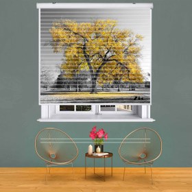 تصویر پرده زبرا زیو 