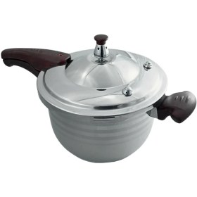 تصویر زودپز رویال تک دسته 