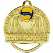 تصویر مدال قهرمانی والیبال 