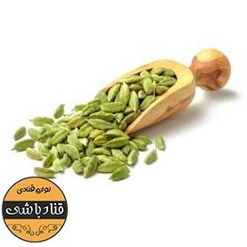 تصویر مغز هل 