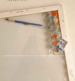 تصویر پکیج تابلو رنگ آمیزی شماره دار 40*50 cm 