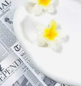 تصویر کلیپس پلومریا - نارنجی 