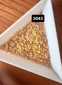 تصویر میوکی دلیکا2043 