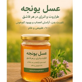 تصویر عسل یونجه - 320 گرم 