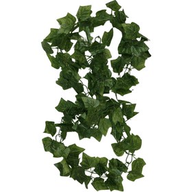 تصویر ریسه برگ 2.5 متری 